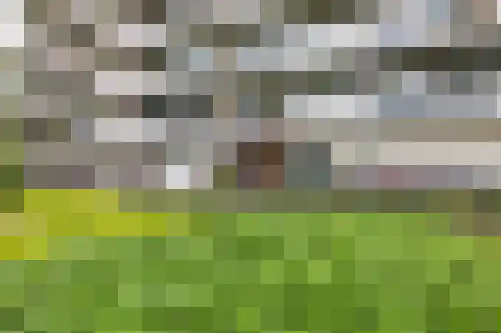 Aalscholversingel 588 Velp thumbnail 17
