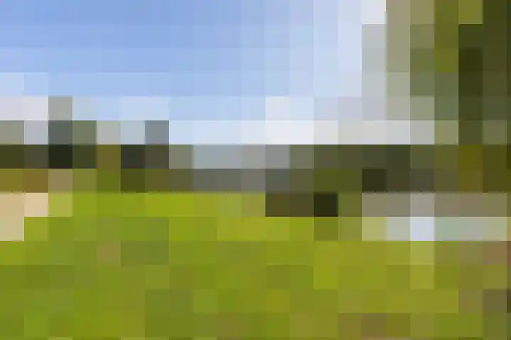 Aalscholversingel 588 Velp thumbnail 19