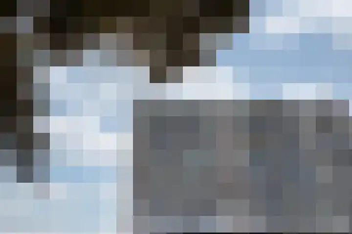 Aalscholversingel 588 Velp thumbnail 4