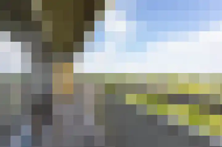 Aalscholversingel 588 Velp thumbnail 8
