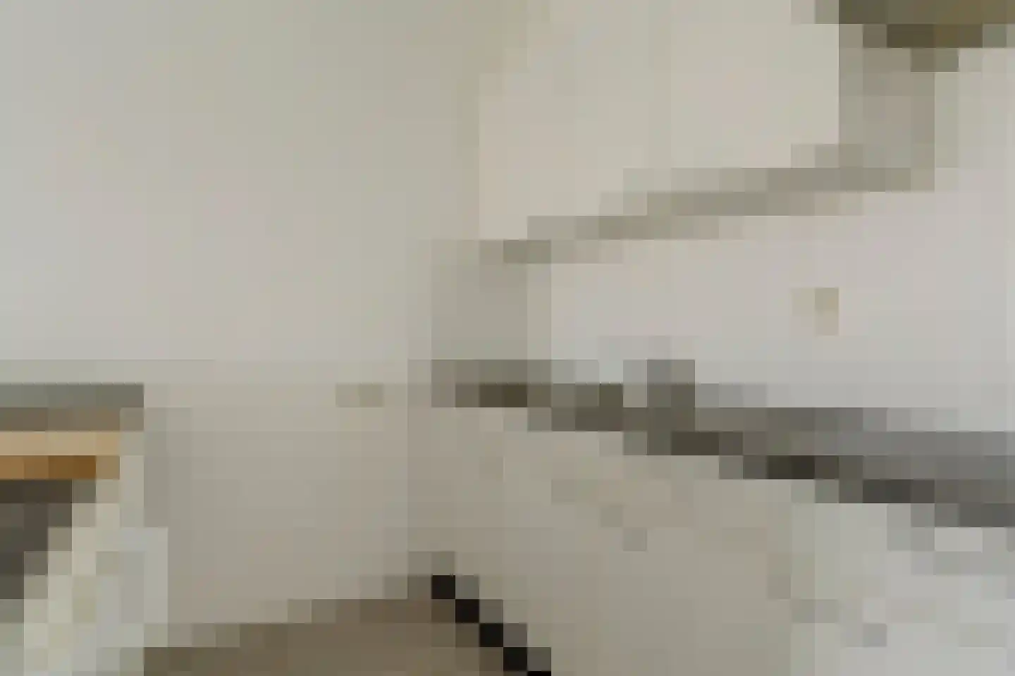Aalscholversingel 590 Velp thumbnail 13