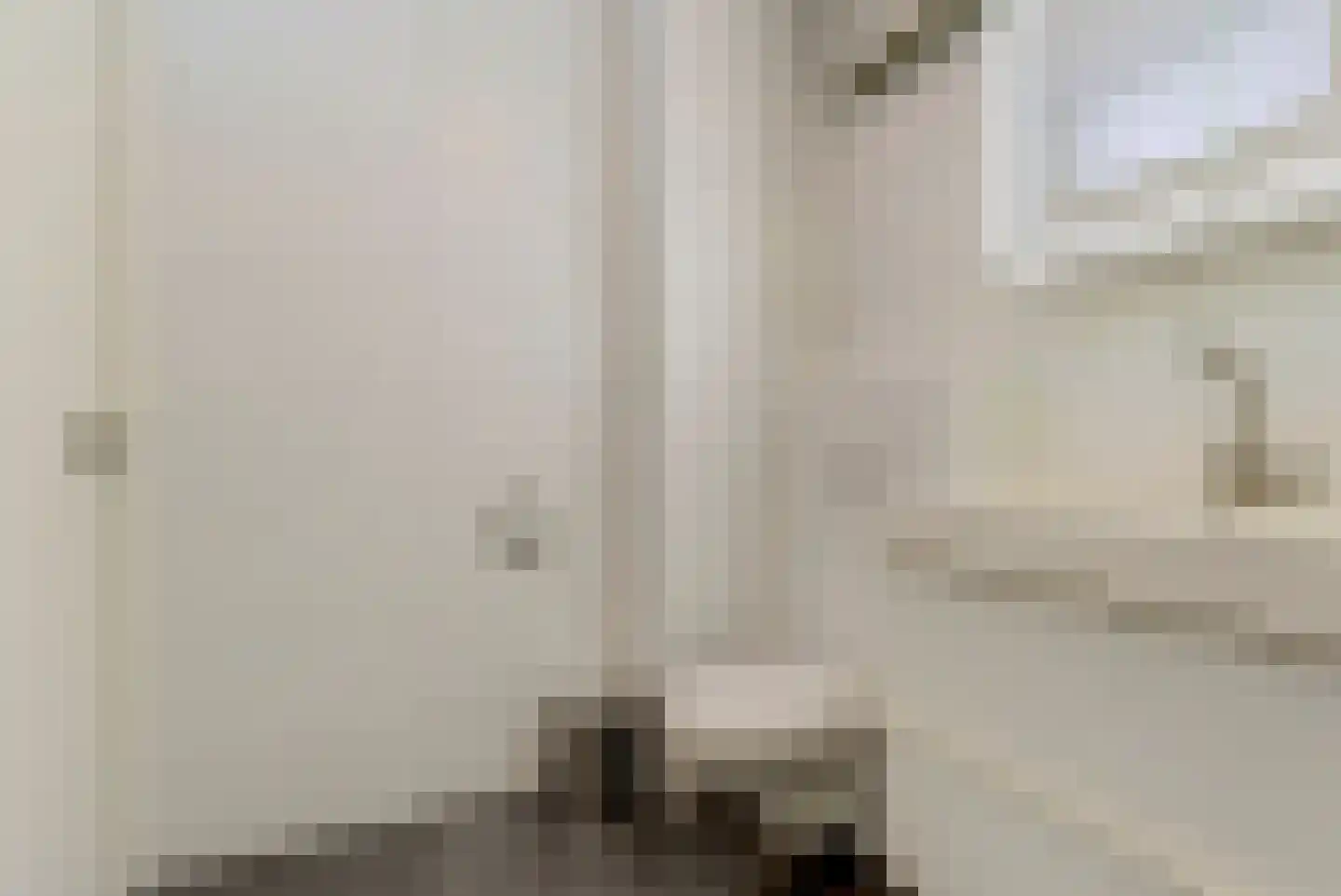 Aalscholversingel 590 Velp thumbnail 18