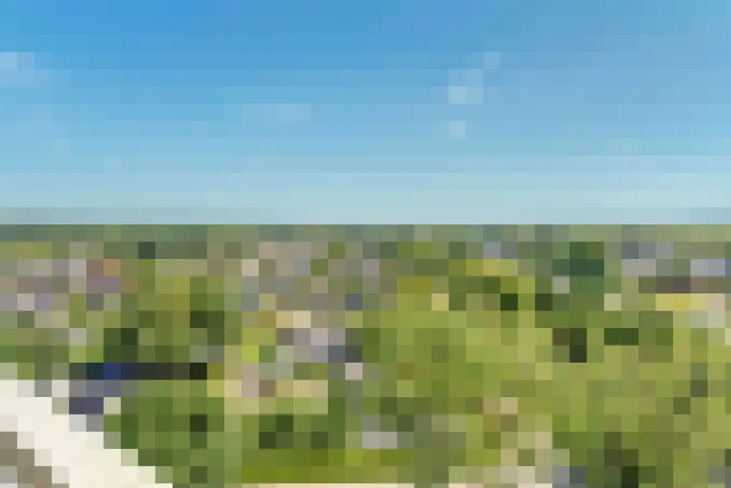Aalscholversingel 590 Velp thumbnail 24