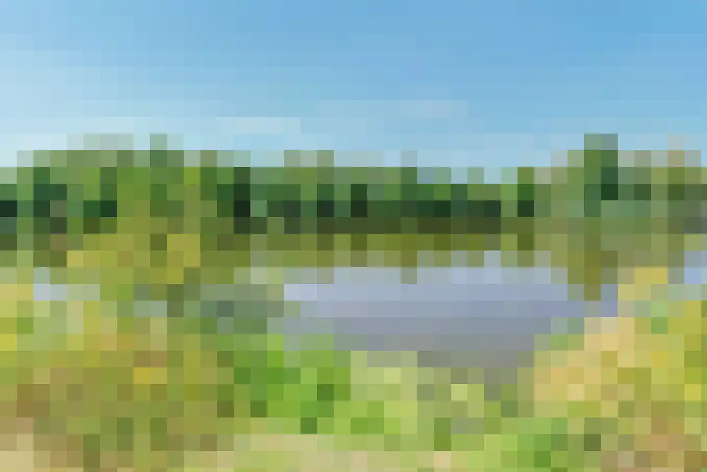 Aalscholversingel 590 Velp thumbnail 25