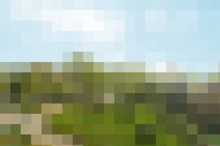 Aalscholversingel 600 Velp thumbnail 6