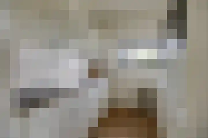 Aalscholversingel 62 Velp thumbnail 11