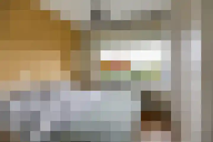 Aalscholversingel 62 Velp thumbnail 13