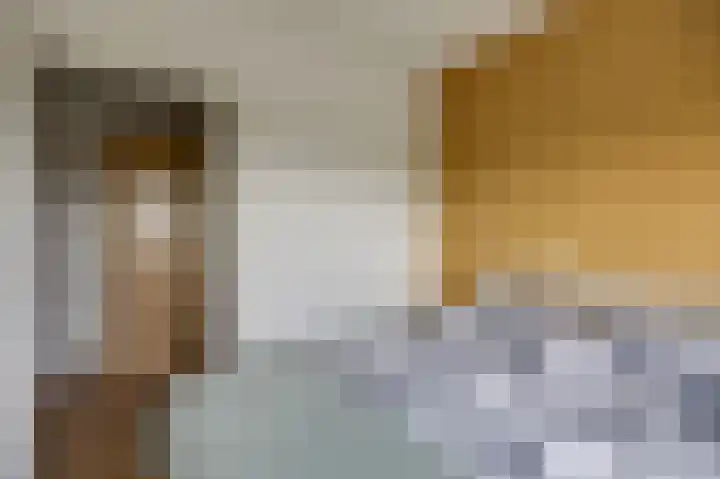 Aalscholversingel 62 Velp thumbnail 14
