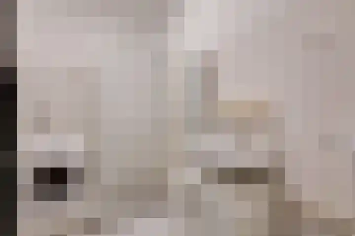Aalscholversingel 62 Velp thumbnail 16