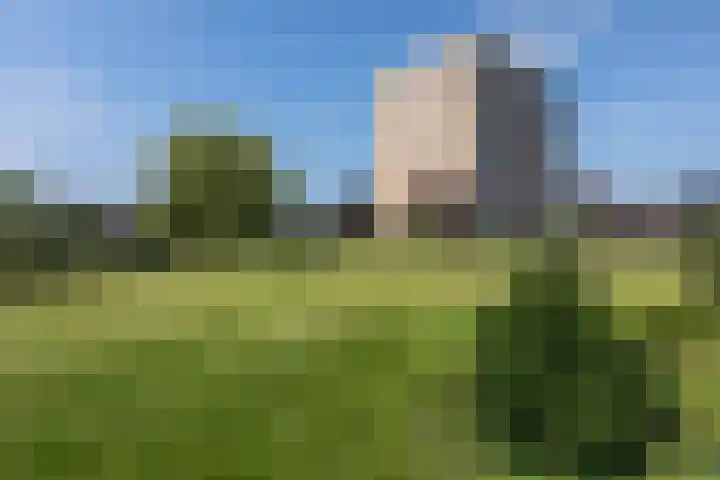 Aalscholversingel 62 Velp thumbnail 19