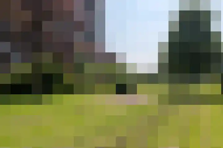 Aalscholversingel 62 Velp thumbnail 20
