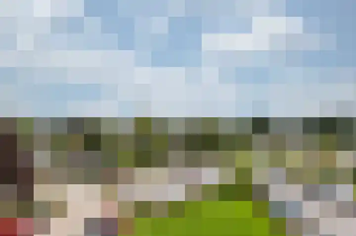 Aalscholversingel 62 Velp thumbnail 4