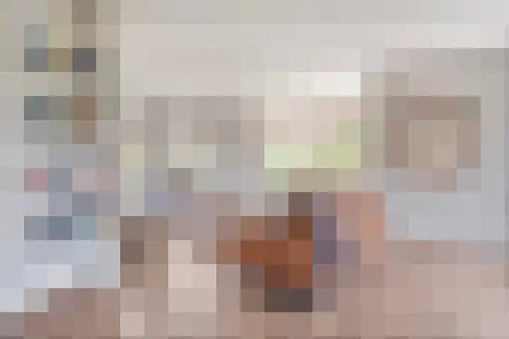 Aalscholversingel 62 Velp thumbnail 5