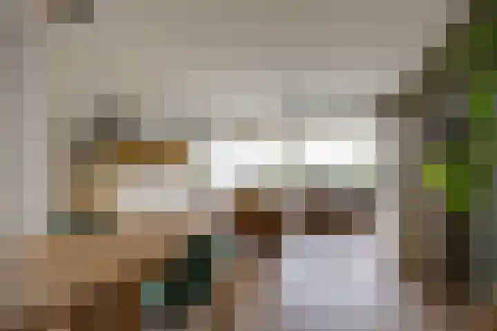 Aalscholversingel 62 Velp thumbnail 5