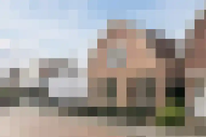 Aalscholversingel 62 Velp thumbnail 7