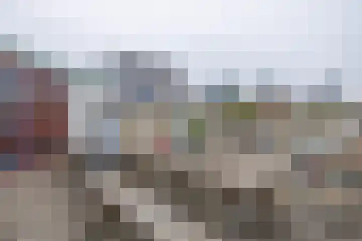 Aalscholversingel 62 Velp thumbnail 8