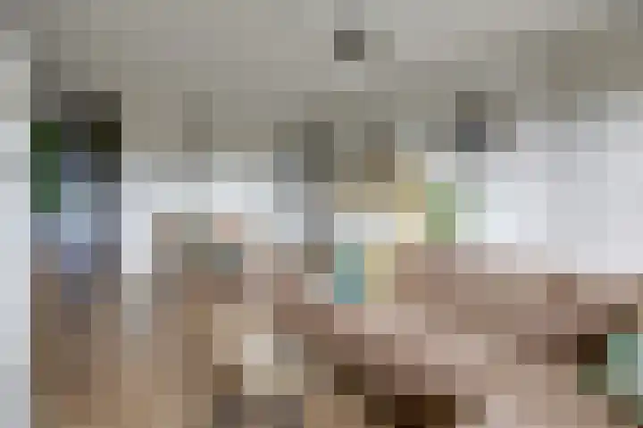Aalscholversingel 62 Velp thumbnail 9