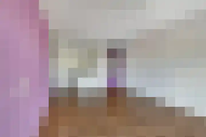 Aalscholversingel 68 Velp thumbnail 13