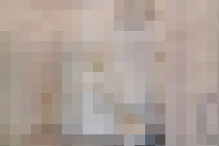 Aalscholversingel 68 Velp thumbnail 24