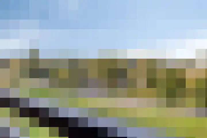 Aalscholversingel 68 Velp thumbnail 27
