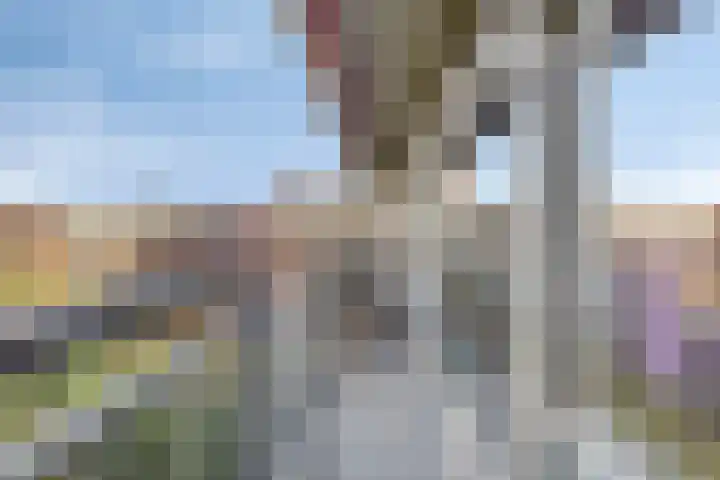 Aalscholversingel 68 Velp thumbnail 29