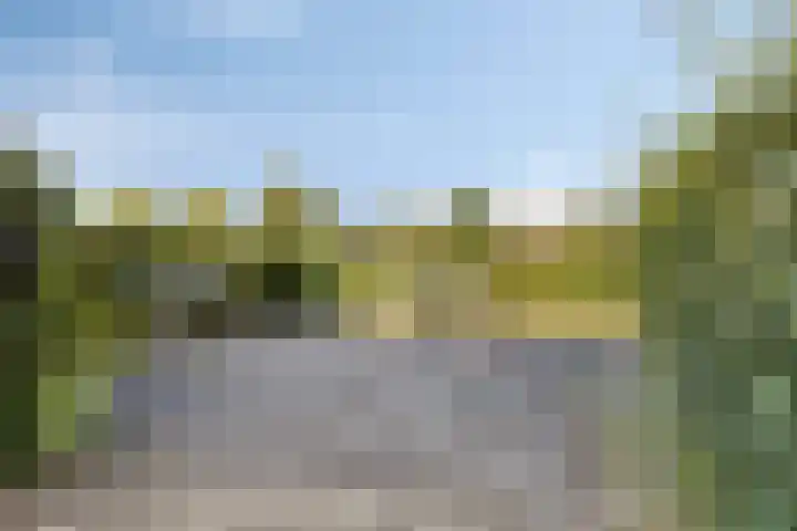 Aalscholversingel 68 Velp thumbnail 30