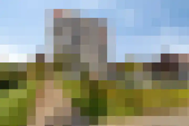 Aalscholversingel 68 Velp thumbnail 5