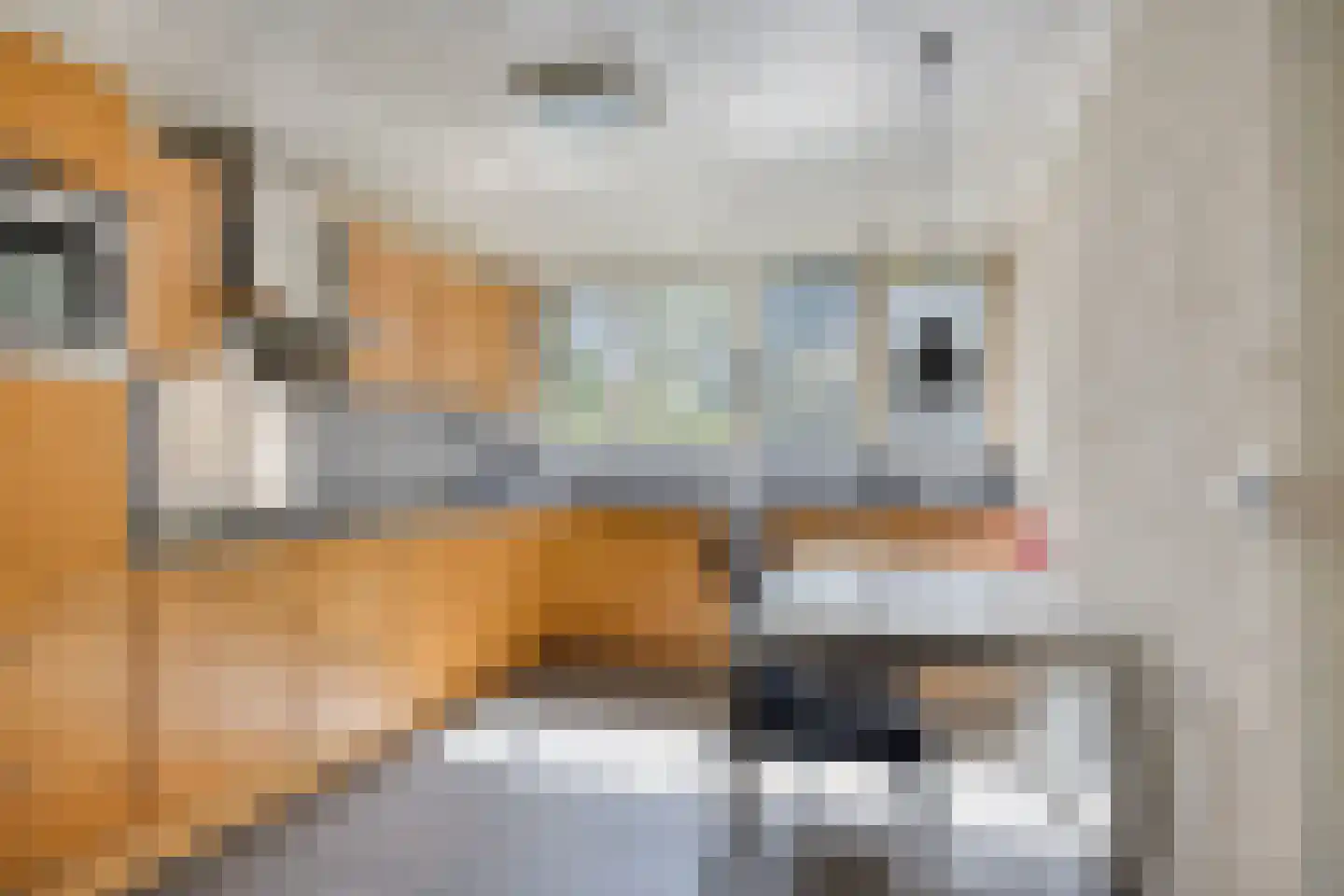 Aalscholversingel 7 Velp thumbnail 18