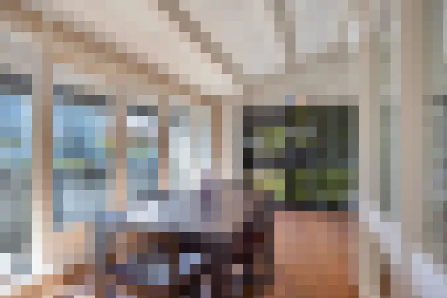 Aalscholversingel 7 Velp thumbnail 28