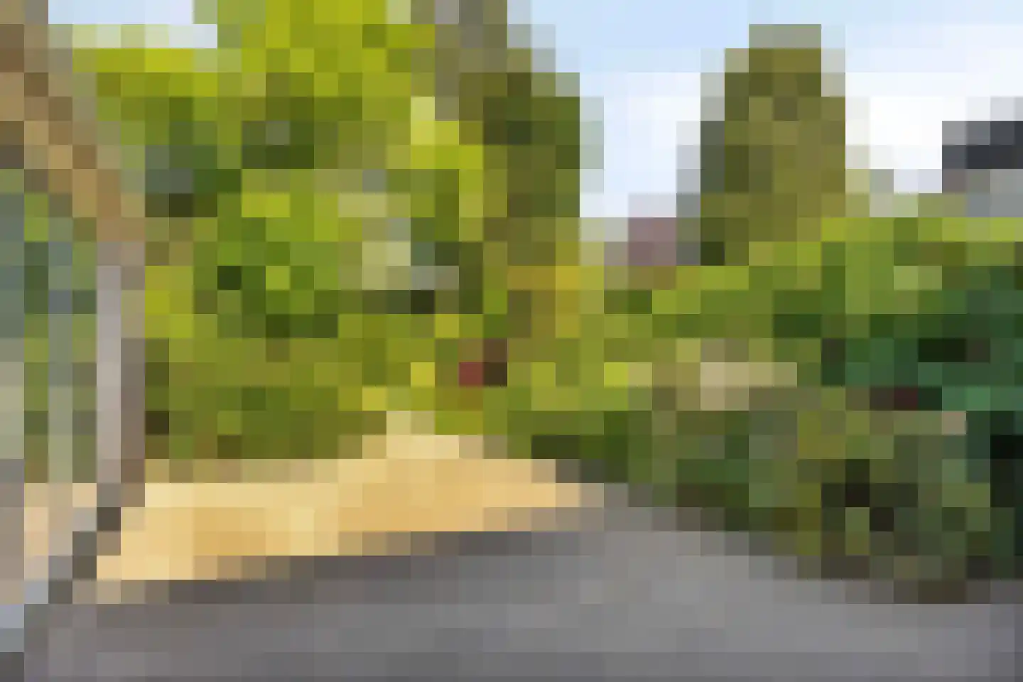 Aalscholversingel 7 Velp thumbnail 34