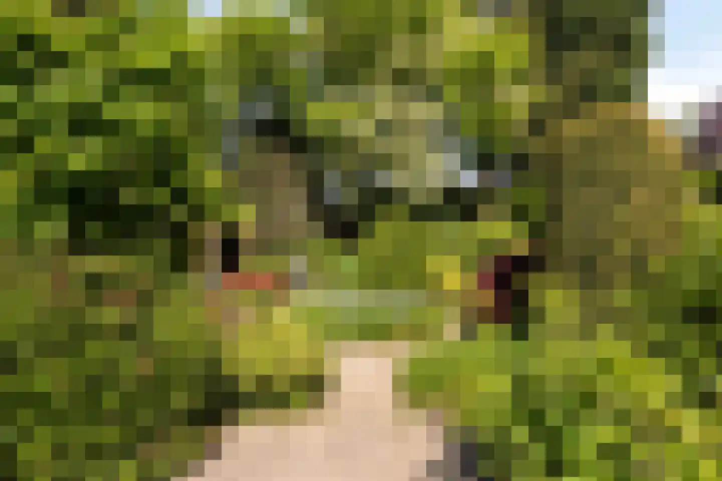 Aalscholversingel 7 Velp thumbnail 36