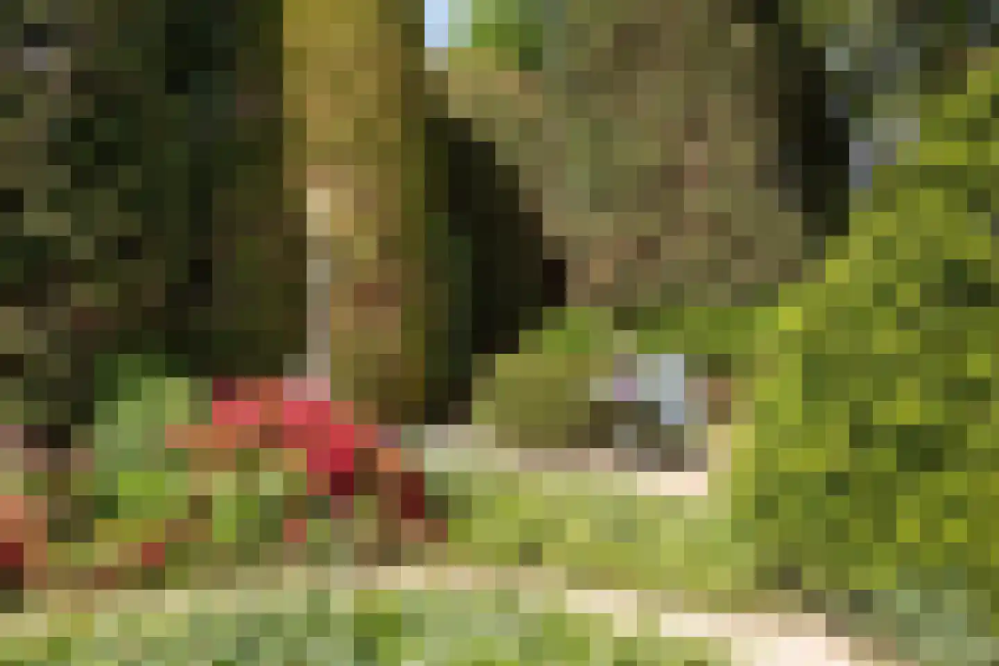 Aalscholversingel 7 Velp thumbnail 37