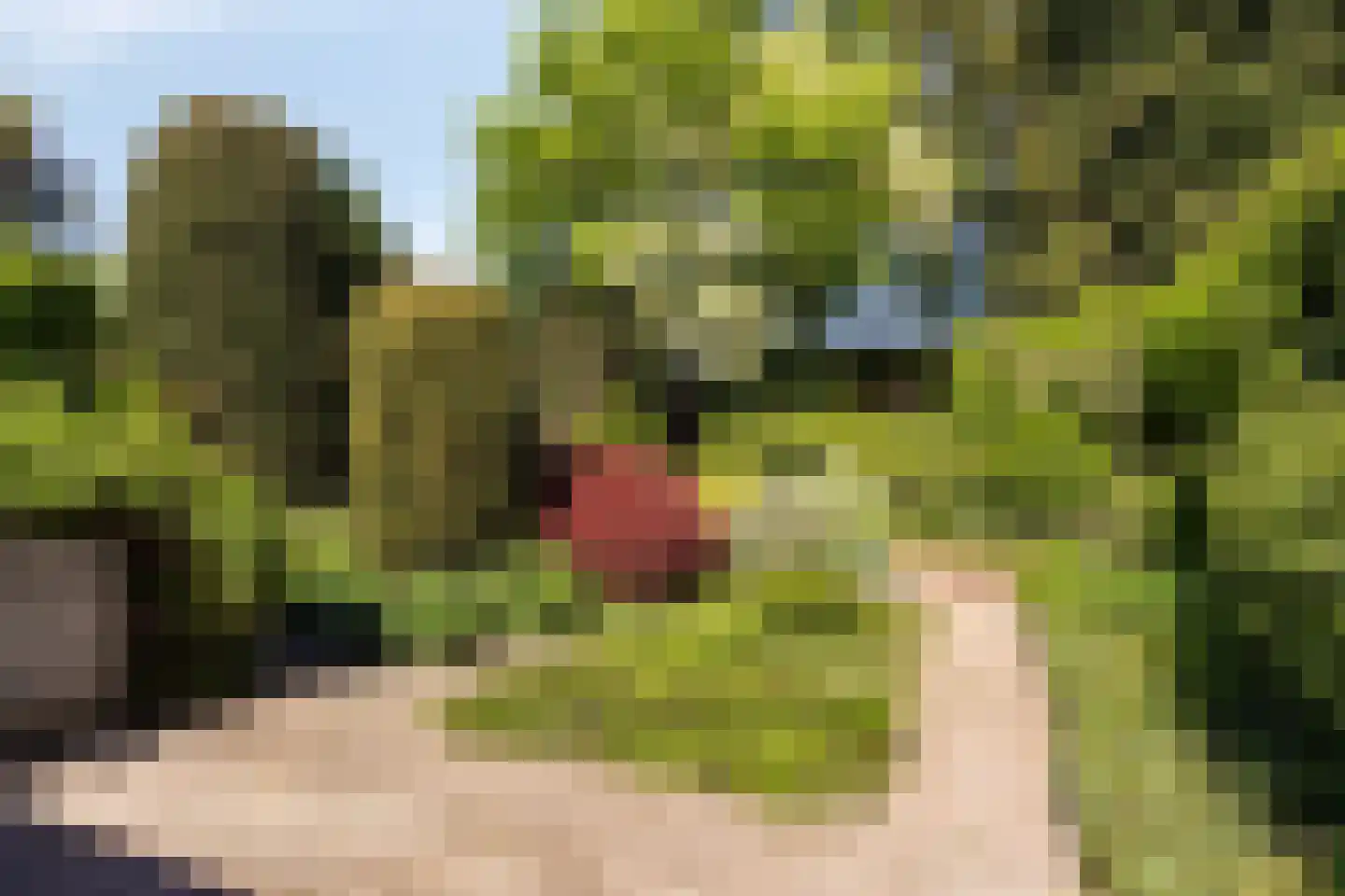 Aalscholversingel 7 Velp thumbnail 38