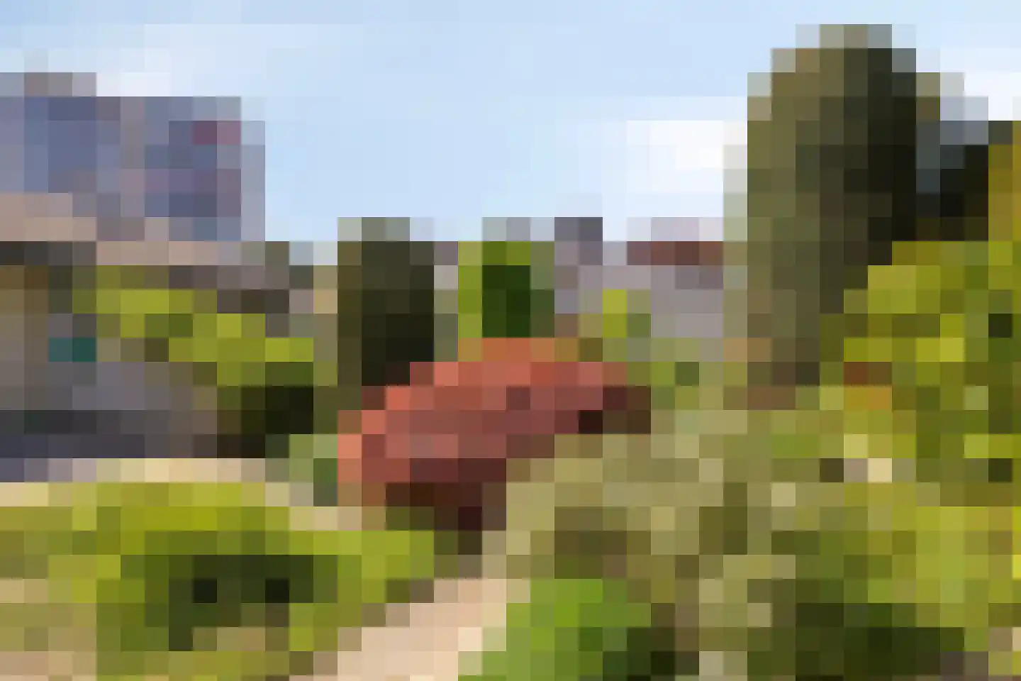 Aalscholversingel 7 Velp thumbnail 40