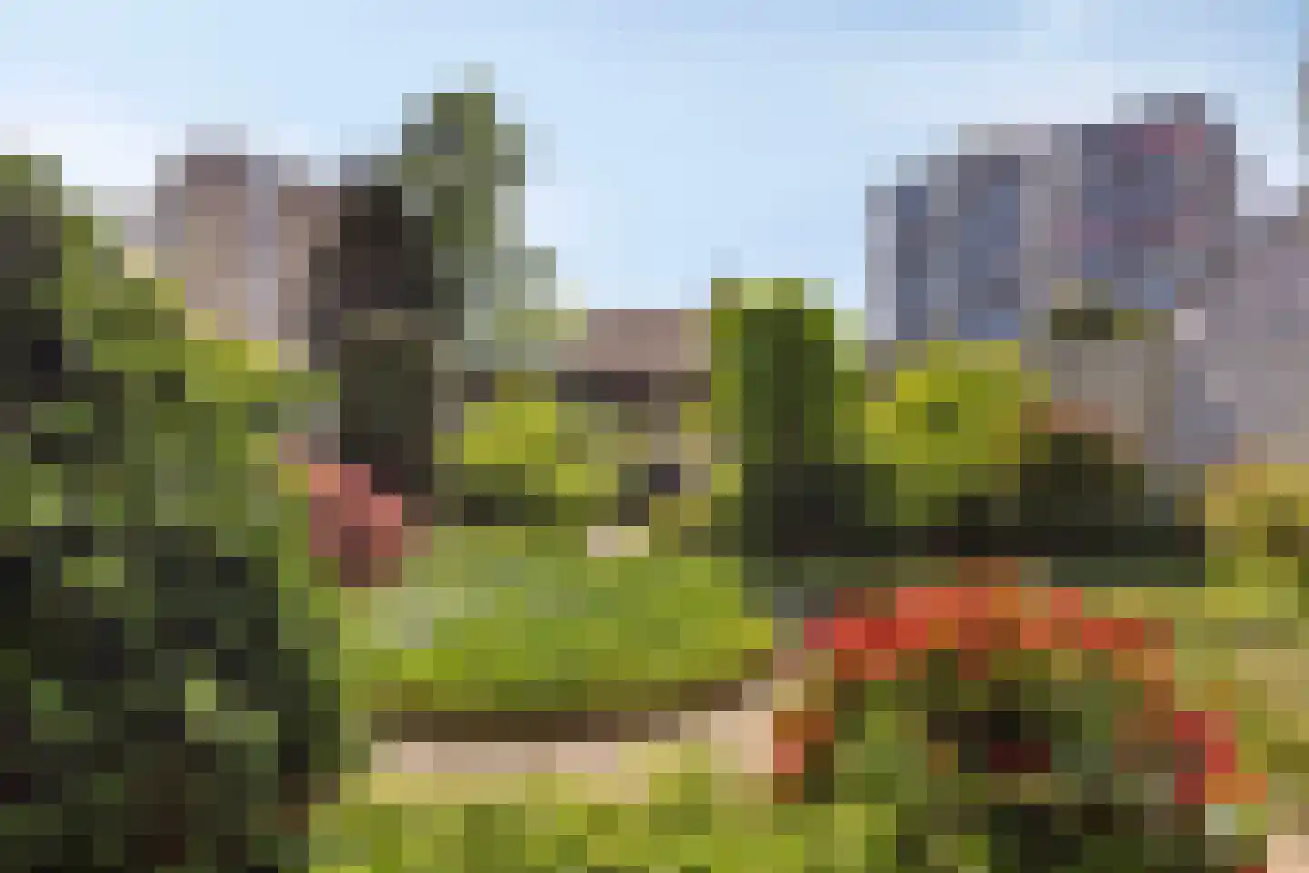 Aalscholversingel 7 Velp thumbnail 41