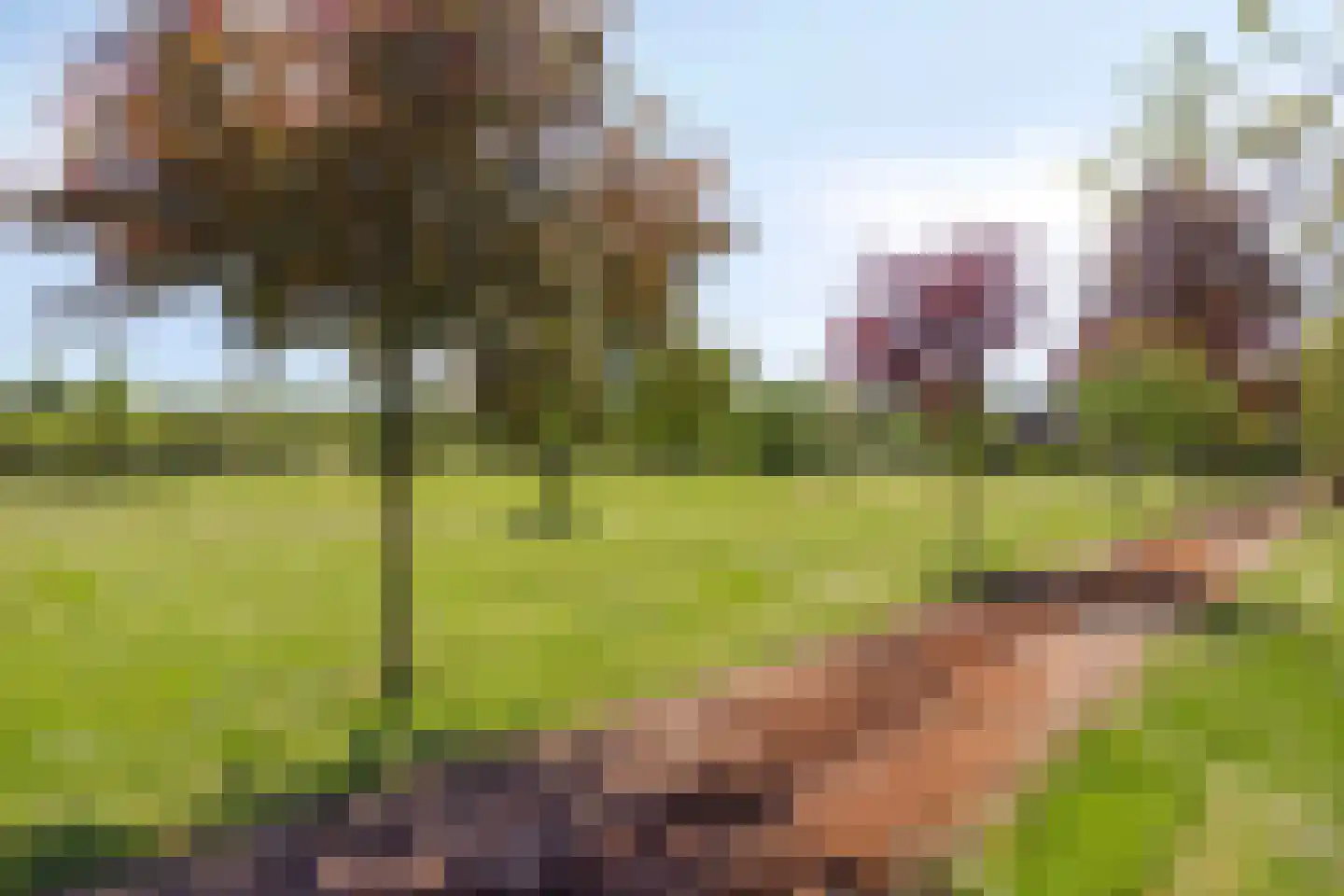 Aalscholversingel 7 Velp thumbnail 45