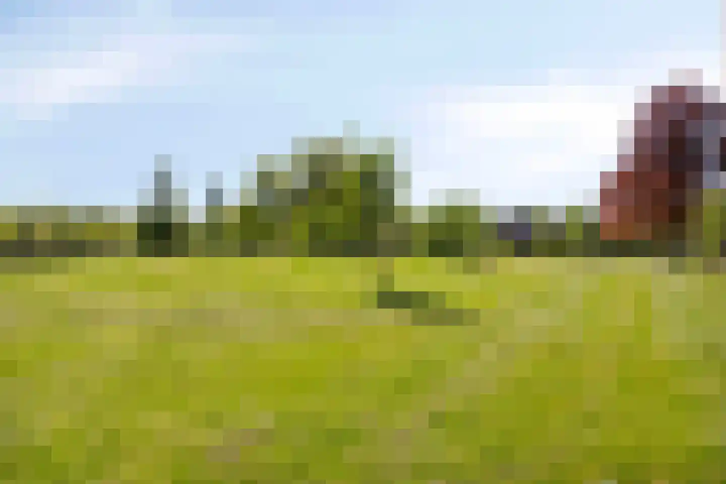 Aalscholversingel 7 Velp thumbnail 46