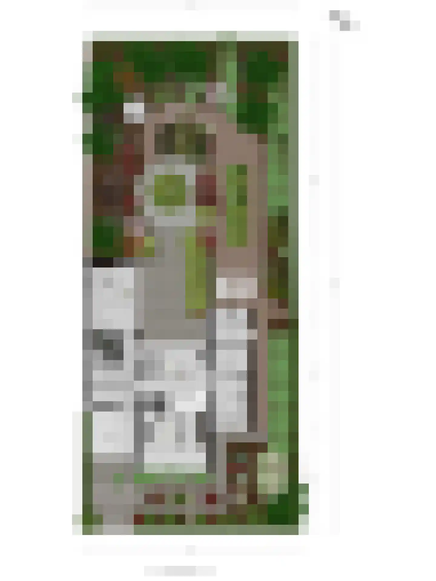 Aalscholversingel 7 Velp thumbnail 49