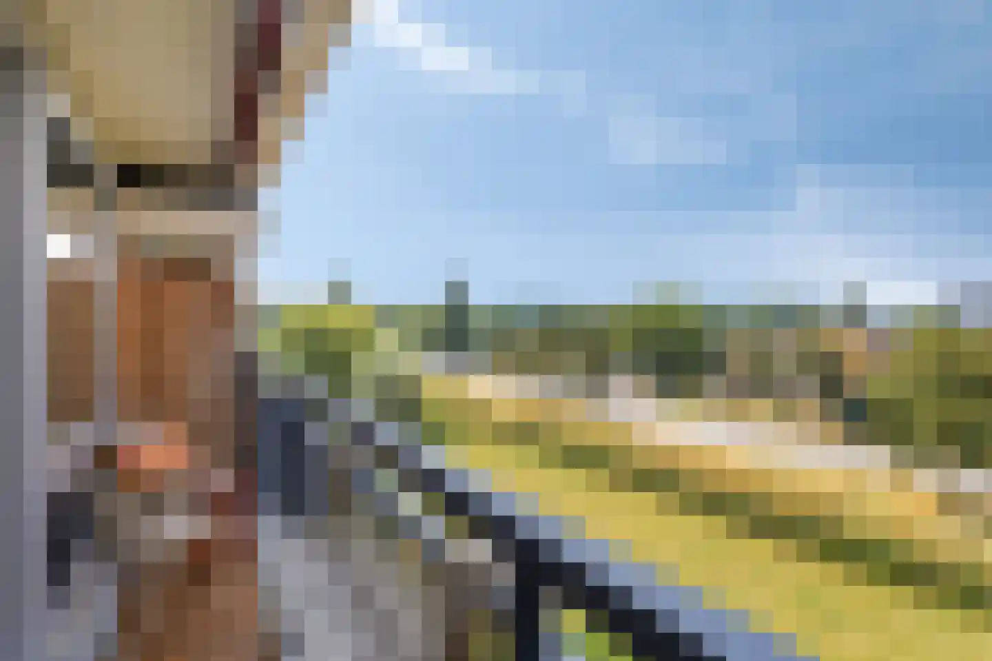 Aalscholversingel 70 Velp thumbnail 10