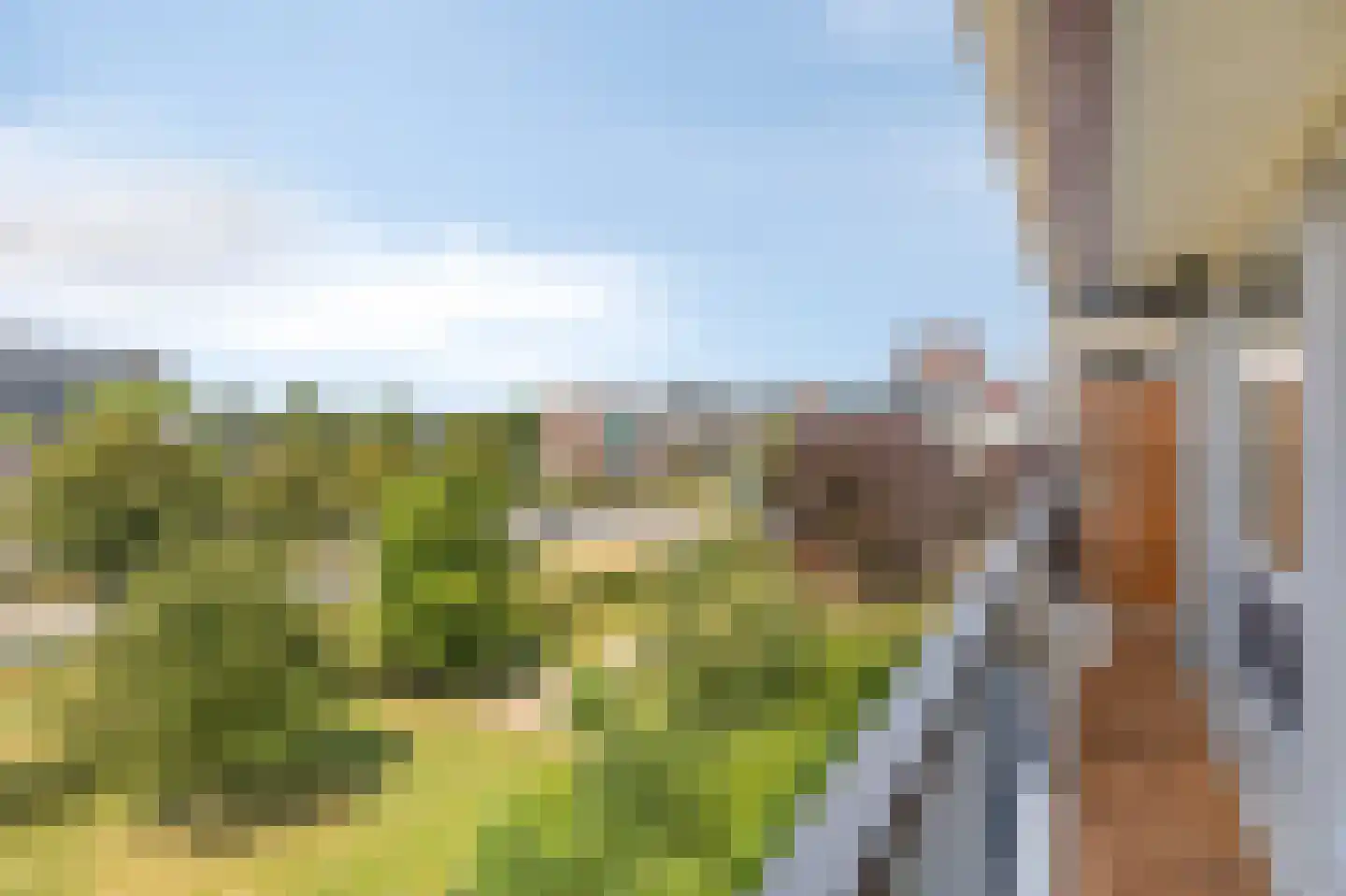 Aalscholversingel 70 Velp thumbnail 11