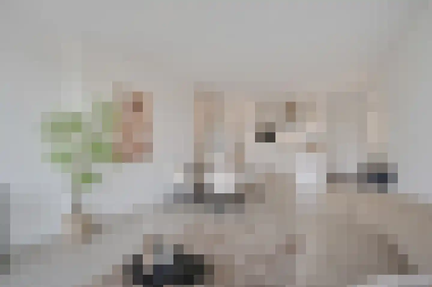 Aalscholversingel 70 Velp thumbnail 12