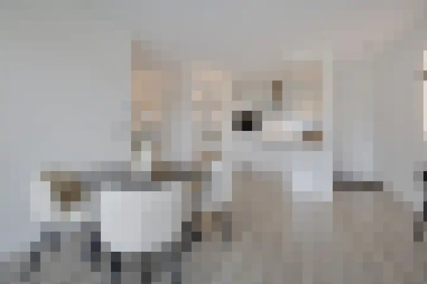 Aalscholversingel 70 Velp thumbnail 13