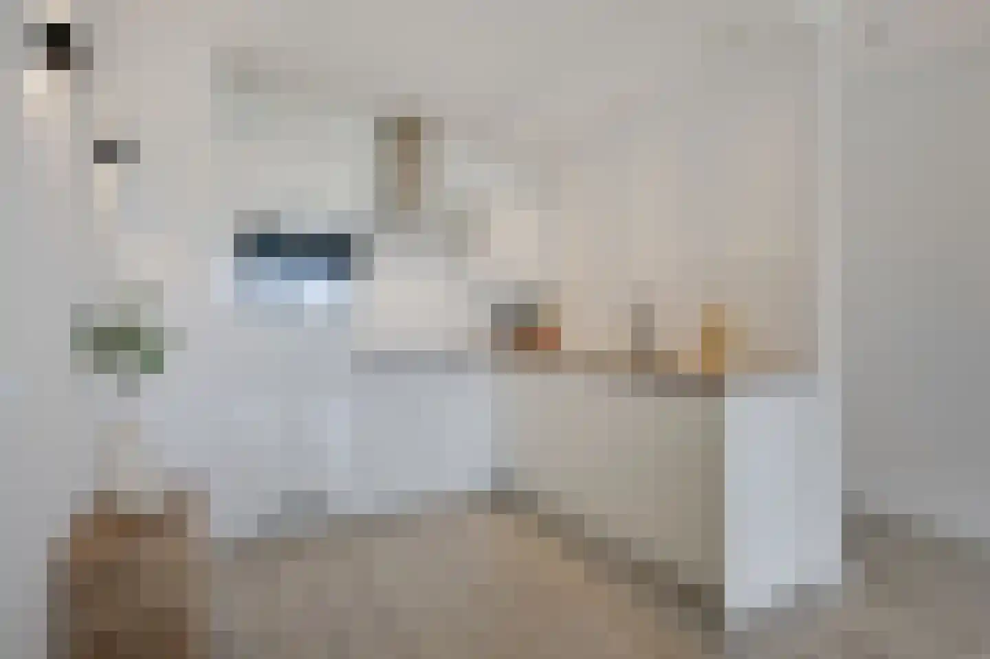 Aalscholversingel 70 Velp thumbnail 14