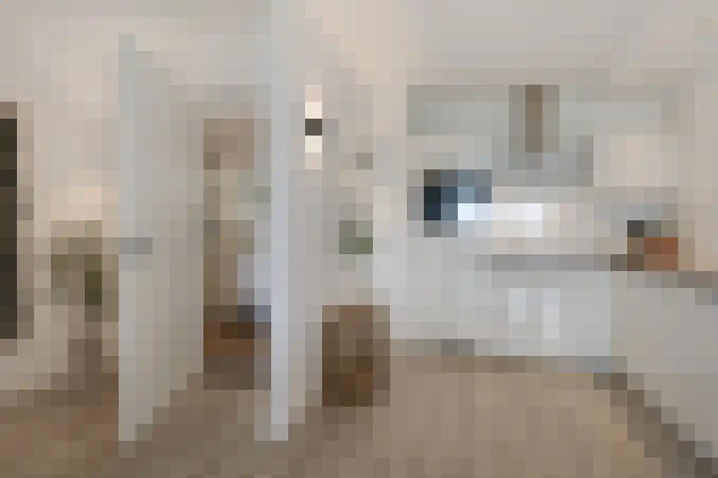 Aalscholversingel 70 Velp thumbnail 15
