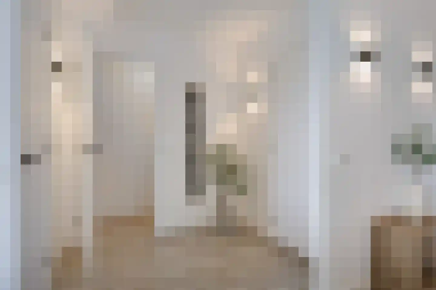 Aalscholversingel 70 Velp thumbnail 16