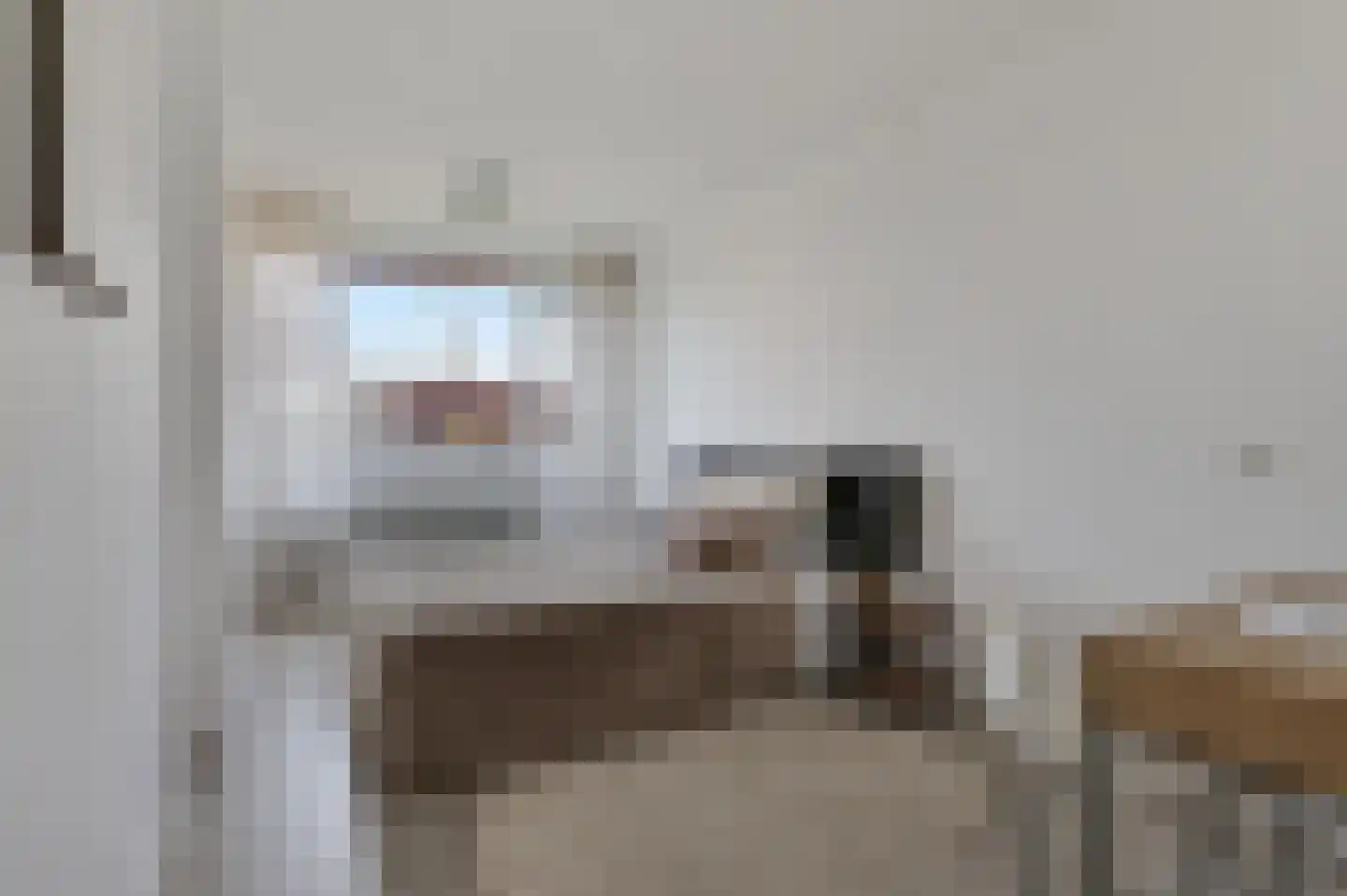 Aalscholversingel 70 Velp thumbnail 17