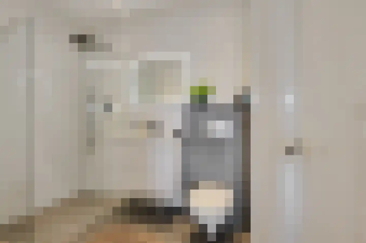 Aalscholversingel 70 Velp thumbnail 19