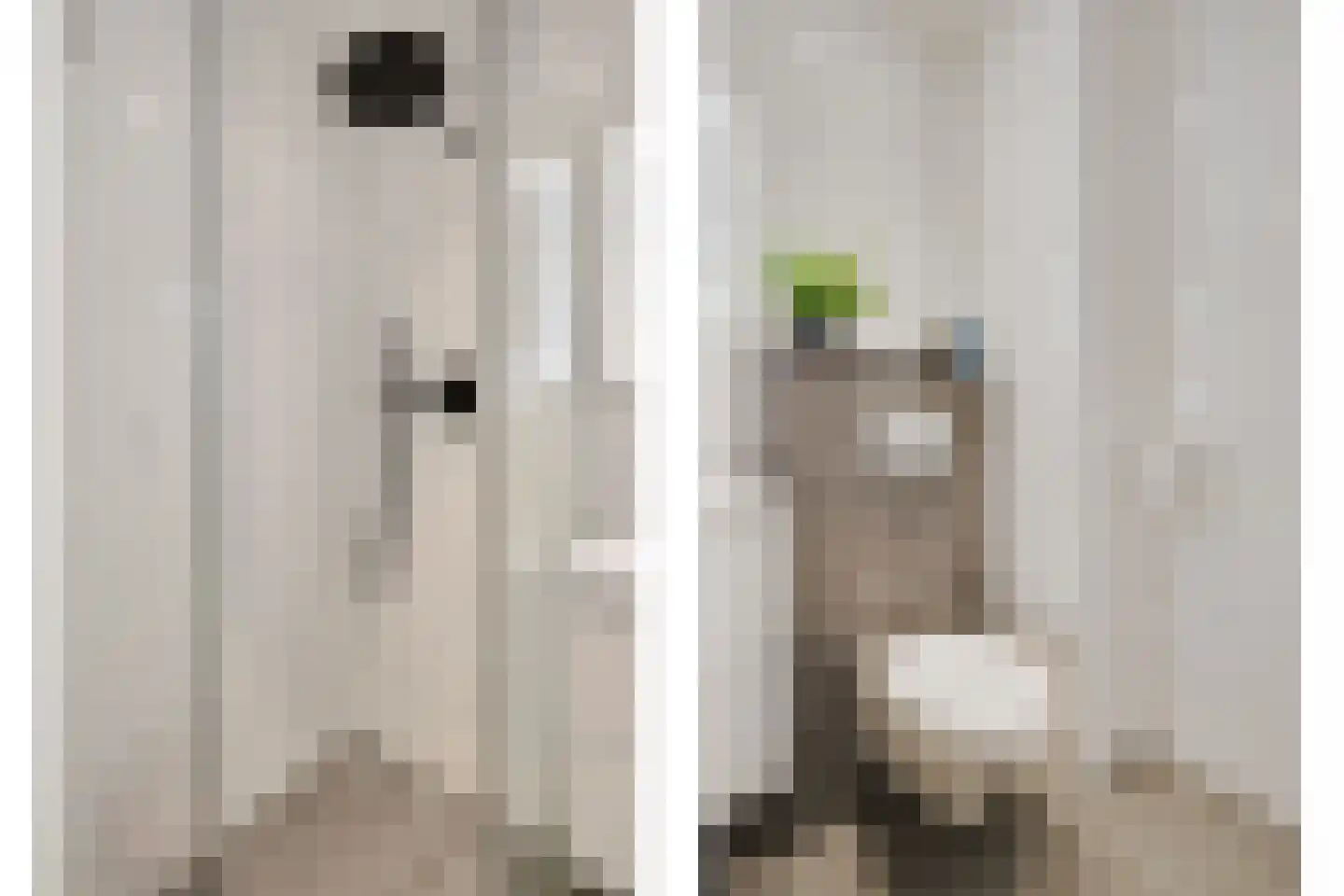 Aalscholversingel 70 Velp thumbnail 20