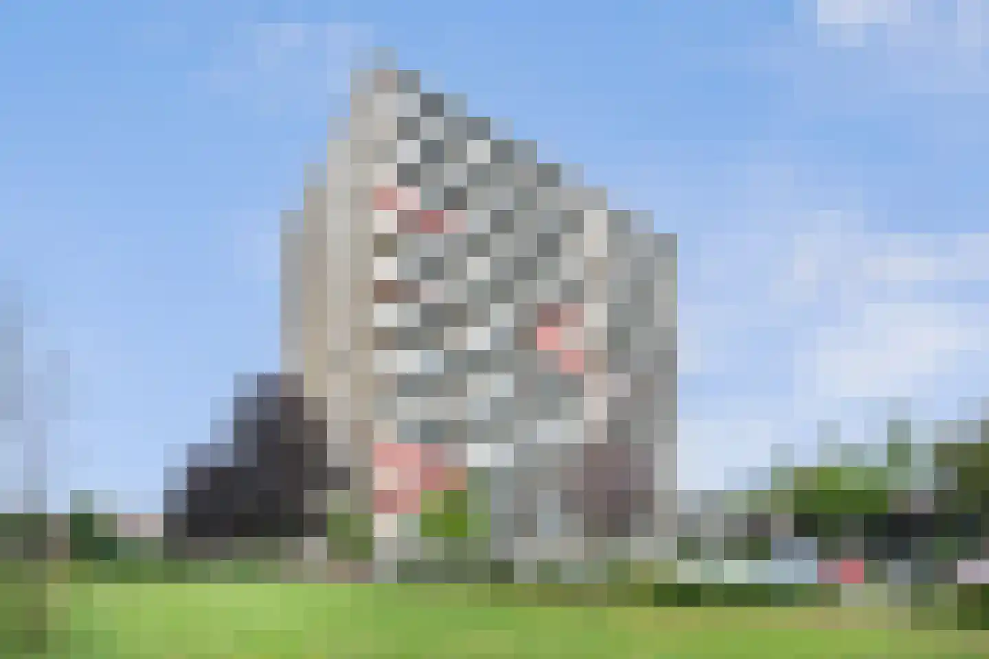 Aalscholversingel 70 Velp thumbnail 22