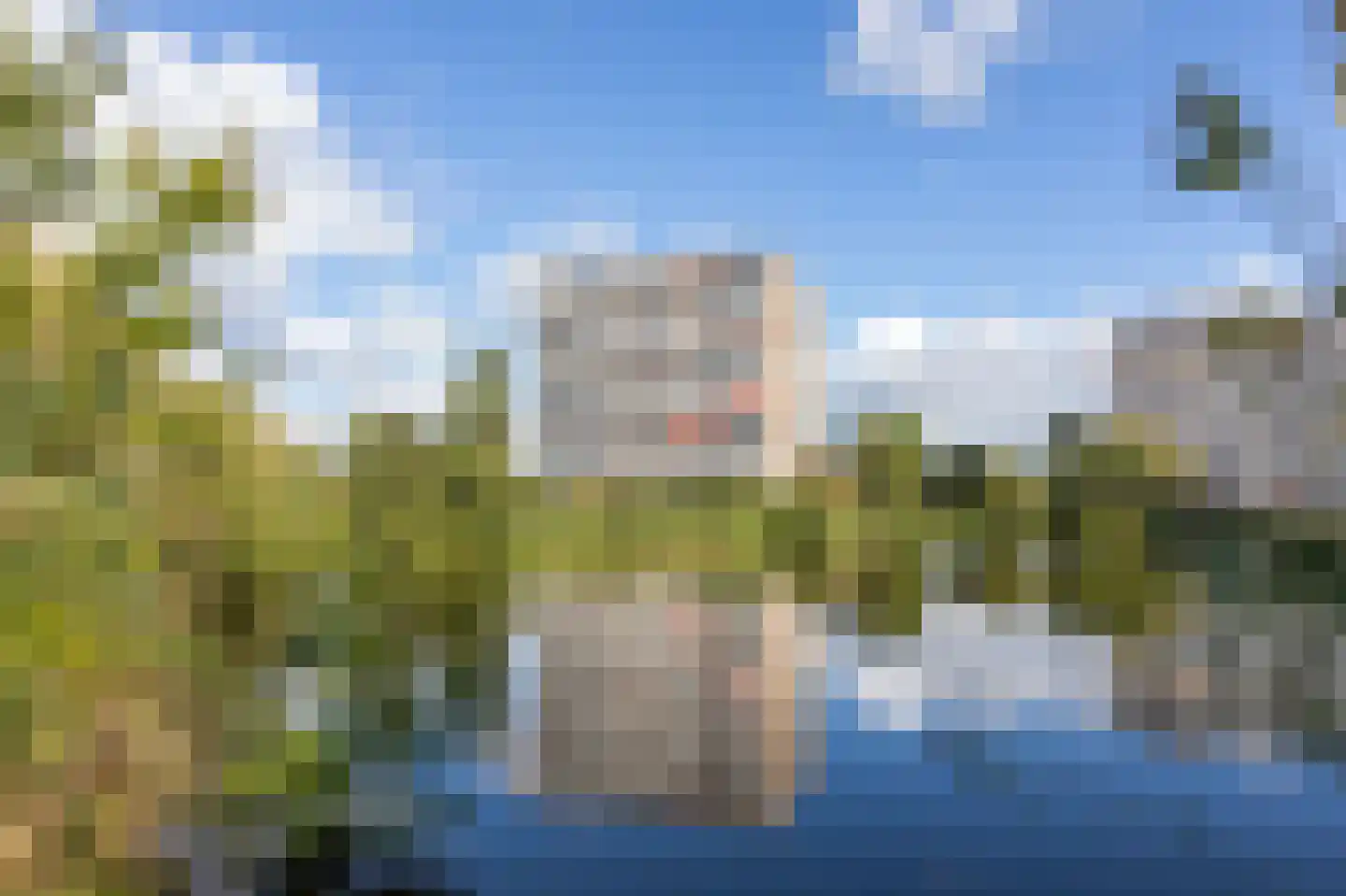 Aalscholversingel 70 Velp thumbnail 25